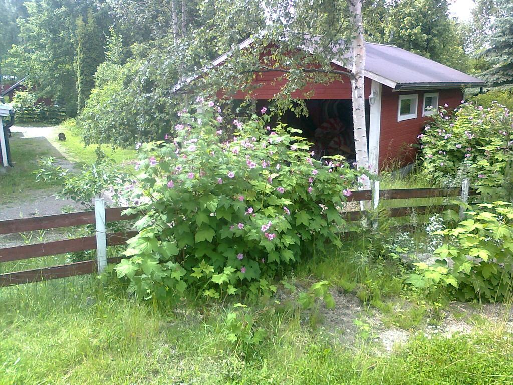 Lappilan B&B Eksteriør bilde